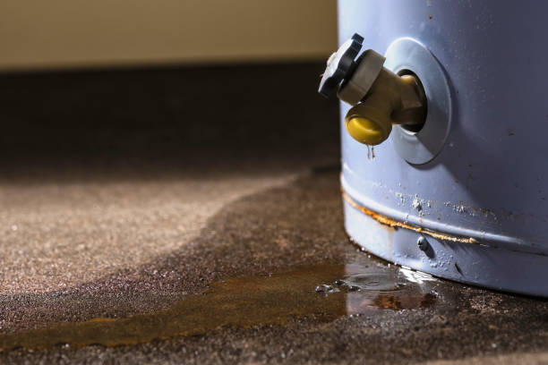 Best Basement water damage restoration  in Marietta, OH