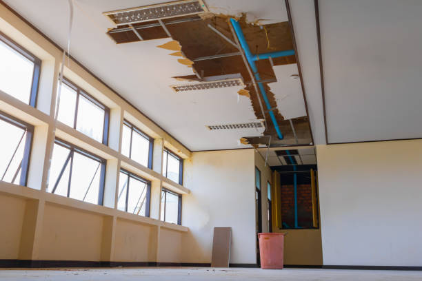 Best Local water damage restoration  in Marietta, OH