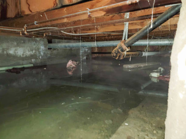 Best Ceiling water damage repair  in Marietta, OH