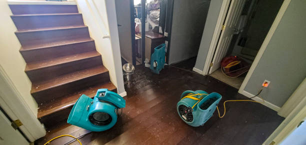 Best Carpet water damage restoration  in Marietta, OH