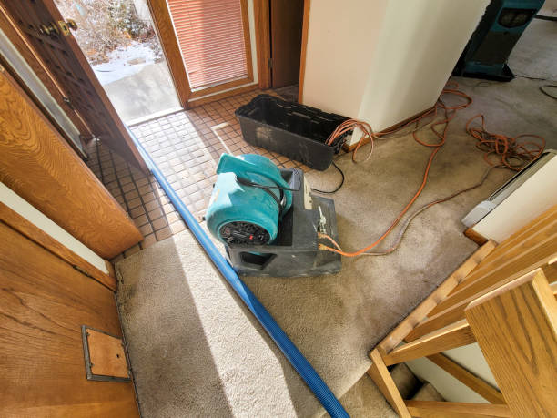 Best Water damage restoration cost  in Marietta, OH